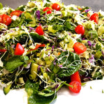 Salad Platter - 20 people - select 1 flavour