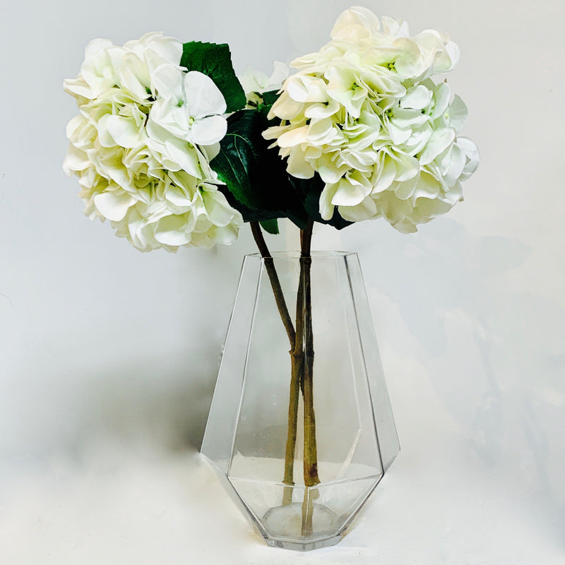 Hydrangea White