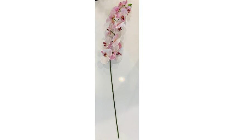 Orchid - single stem - light pink
