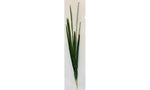 Cymbidium Foliage 97cm