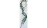 Wax Flower Hanging Bush
