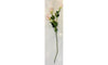 Lisianthus light pink