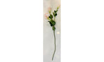 Lisianthus light pink