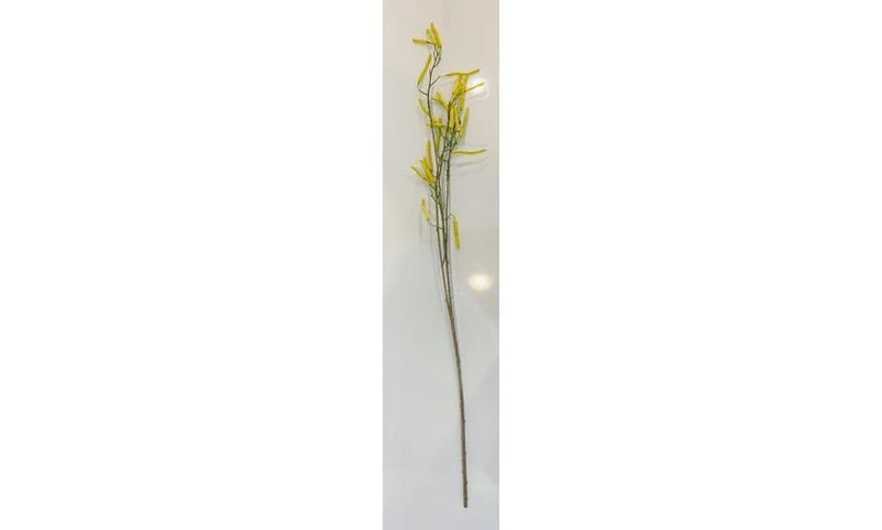 Mulberry - Yellow