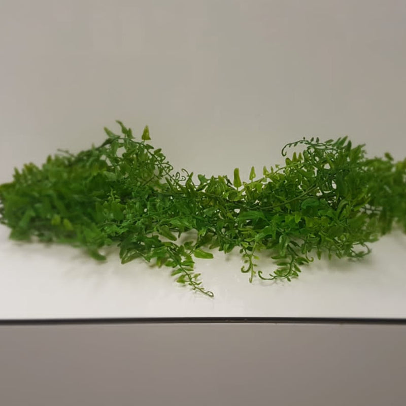 Rattan Bush hanging 65cm
